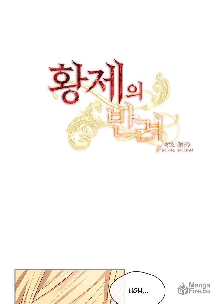 The Emperor's Partner Chapter 85 page 13 - 