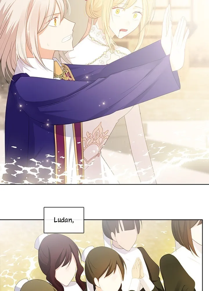 The Emperor's Partner Chapter 85 page 19 - 