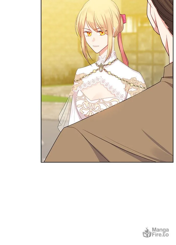 The Emperor's Partner Chapter 85 page 29 - 