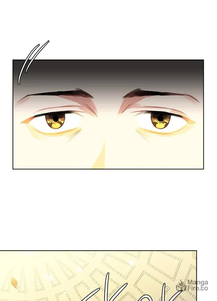 The Emperor's Partner Chapter 85 page 33 - 