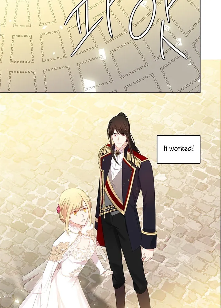 The Emperor's Partner Chapter 85 page 34 - 