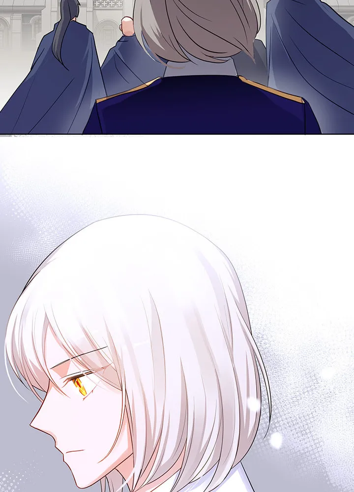 The Emperor's Partner Chapter 86 page 33 - 