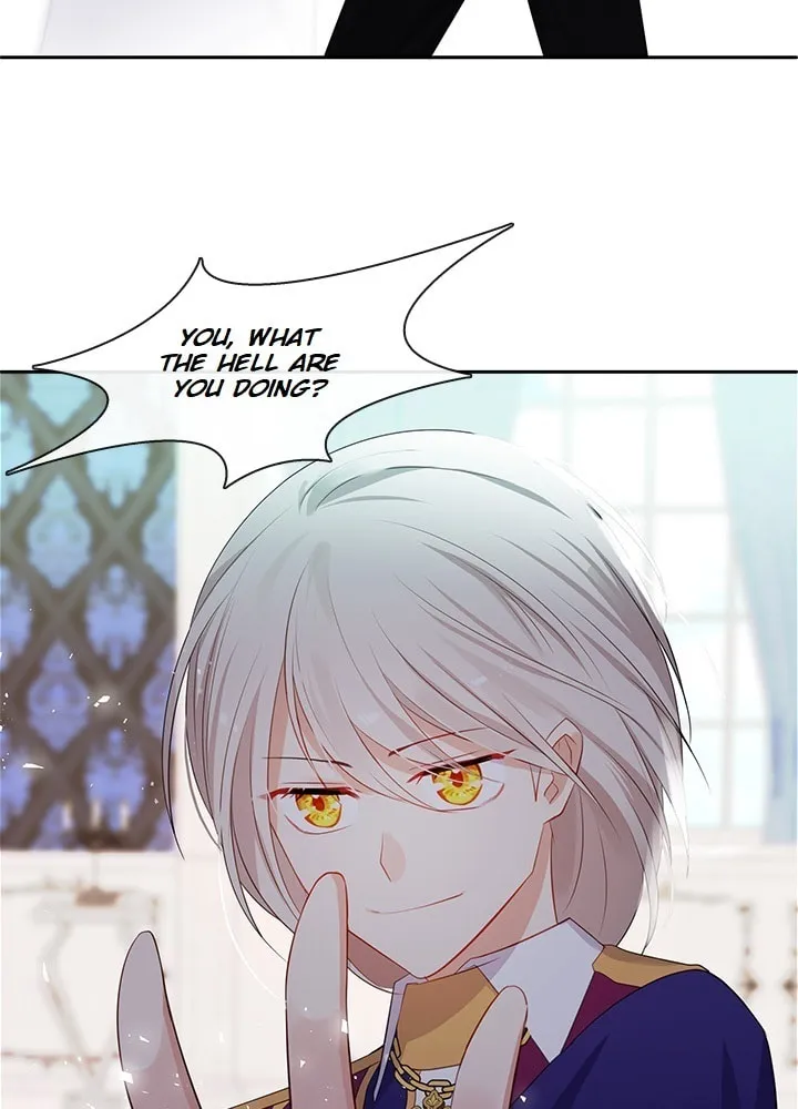The Emperor's Partner Chapter 87 page 26 - 