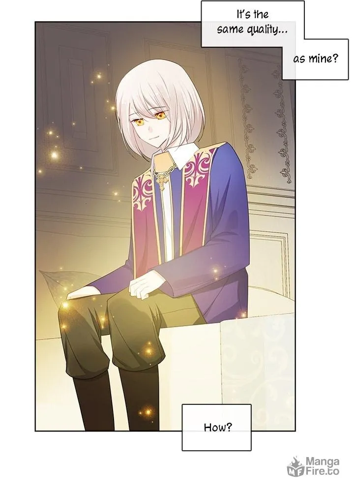 The Emperor's Partner Chapter 87 page 50 - 