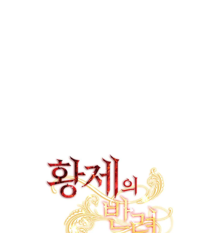 The Emperor's Partner Chapter 88 page 13 - 