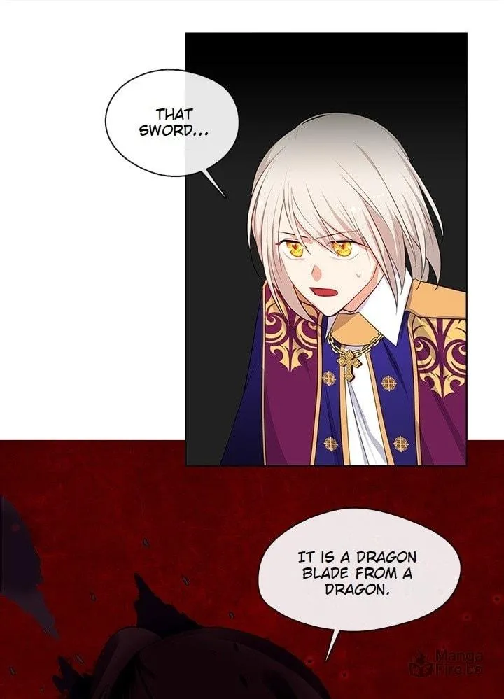 The Emperor's Partner Chapter 88 page 25 - 