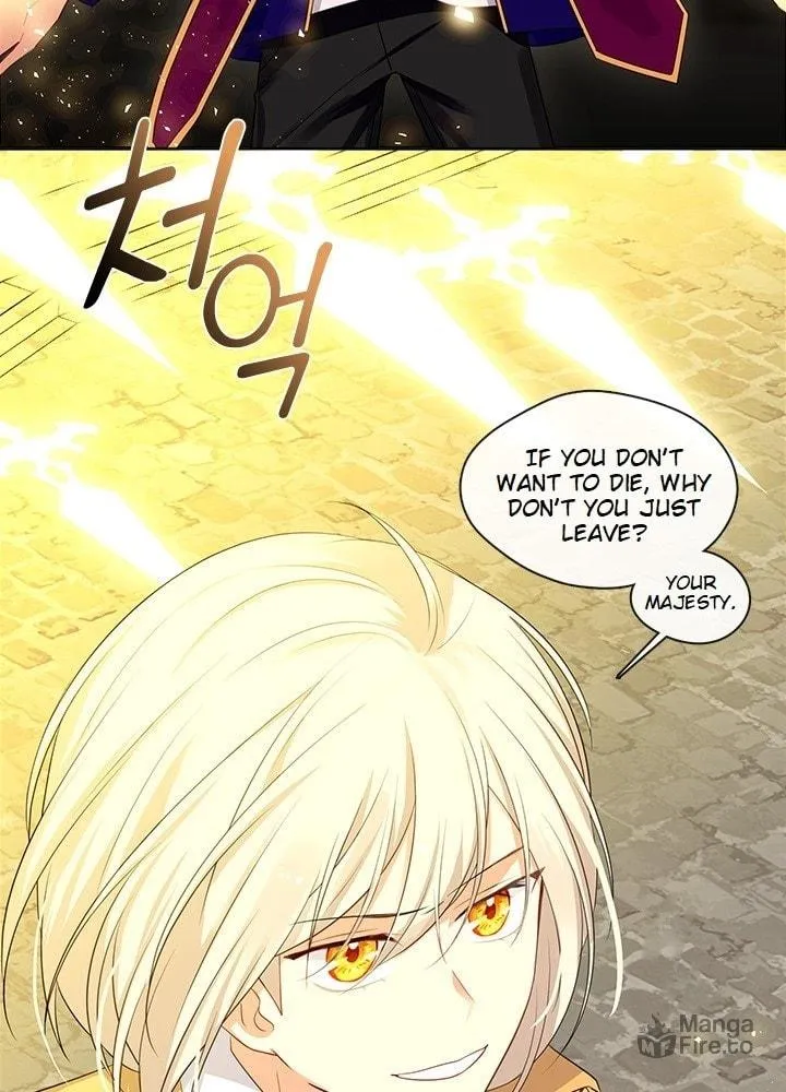 The Emperor's Partner Chapter 88 page 44 - 