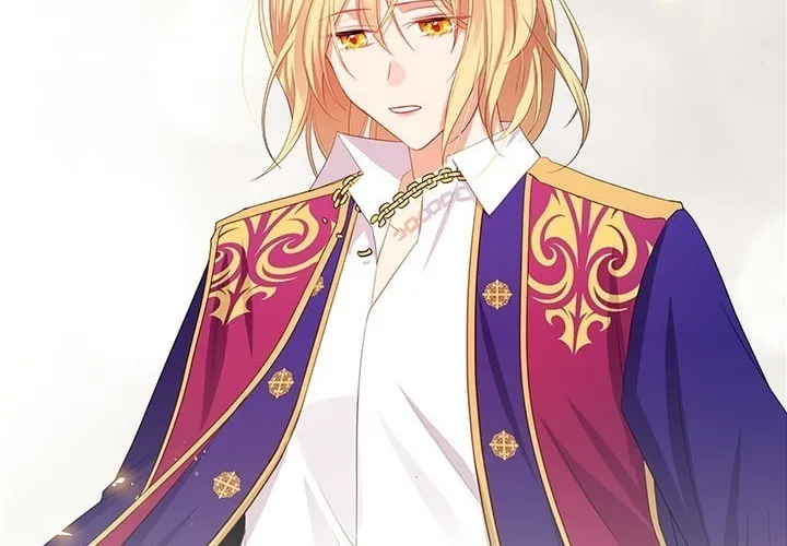 The Emperor's Partner Chapter 88 page 64 - 