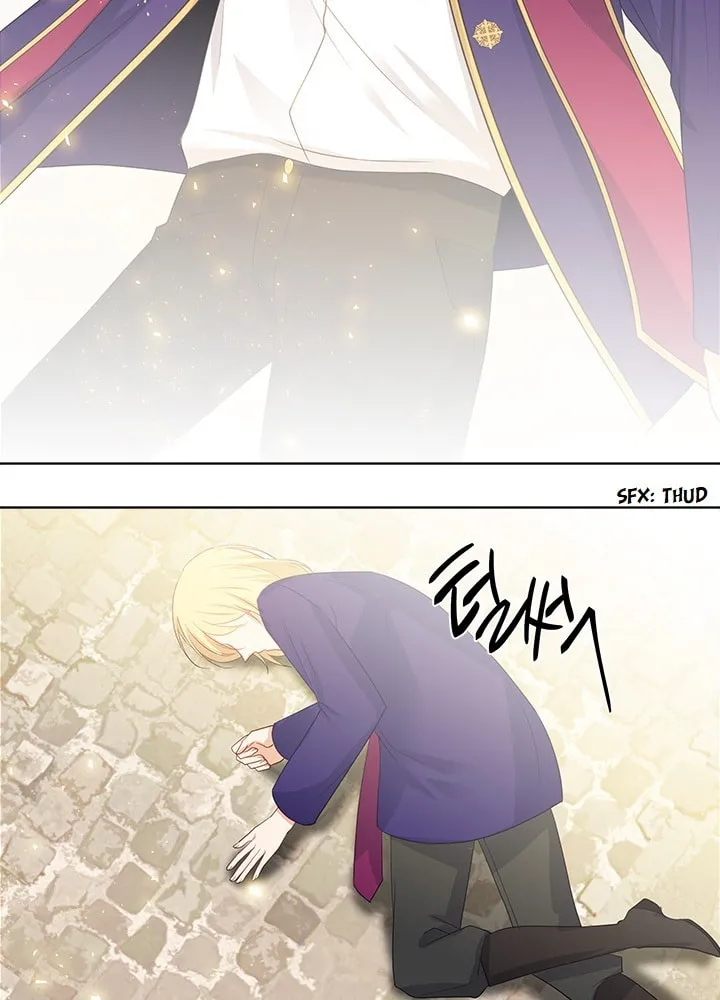 The Emperor's Partner Chapter 88 page 65 - 