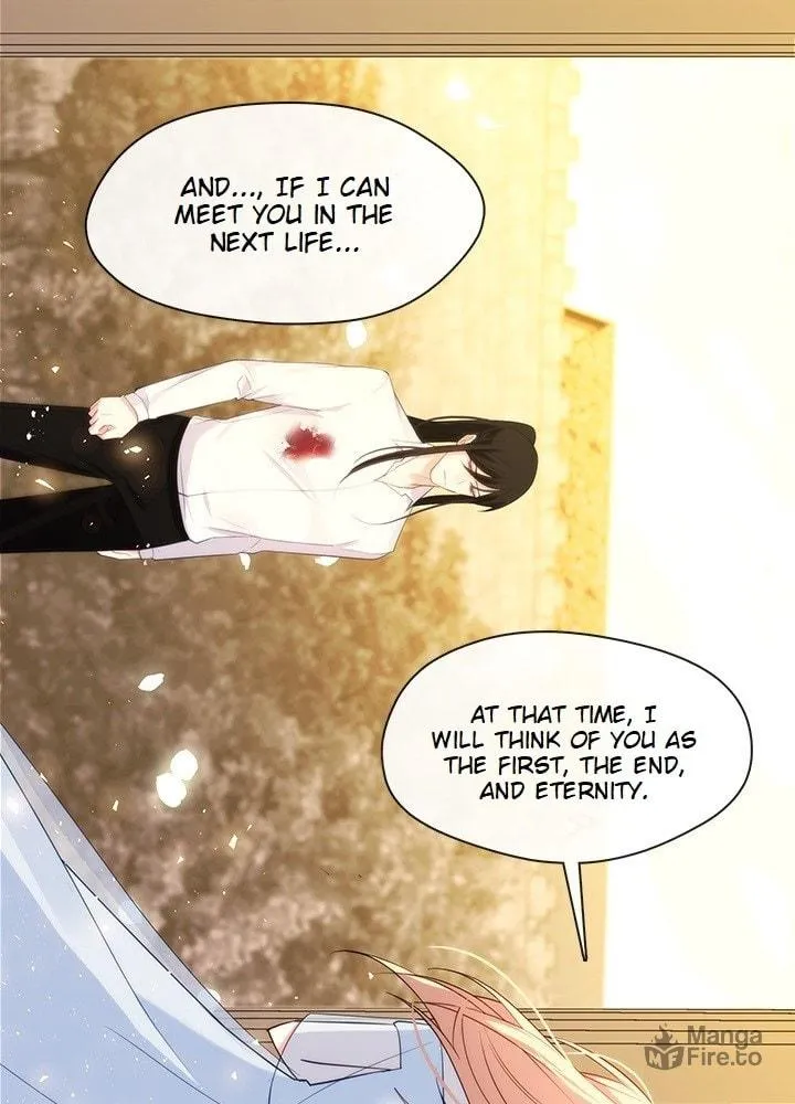 The Emperor's Partner Chapter 89 page 26 - 