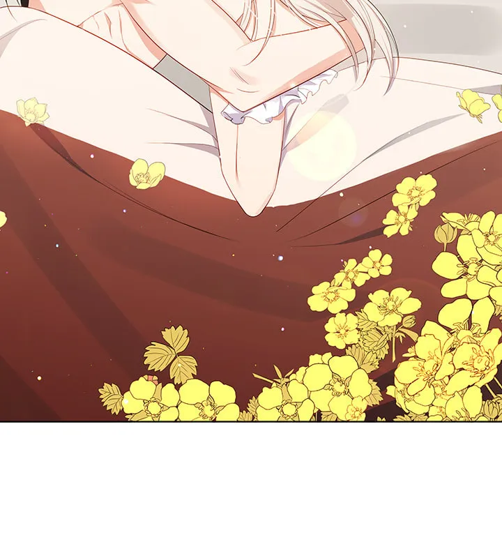 The Emperor's Partner Chapter 91 page 27 - 