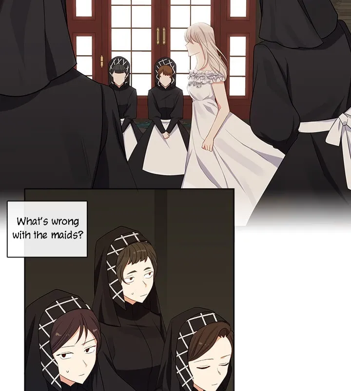 The Emperor's Partner Chapter 91 page 40 - 