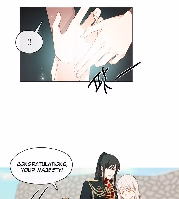 The Emperor's Partner Chapter 92 page 27 - 
