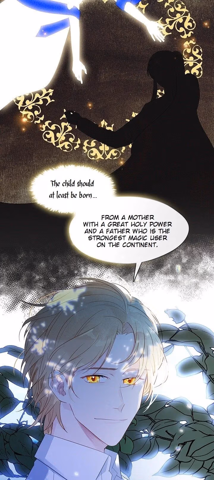 The Emperor's Partner Chapter 92 page 46 - 