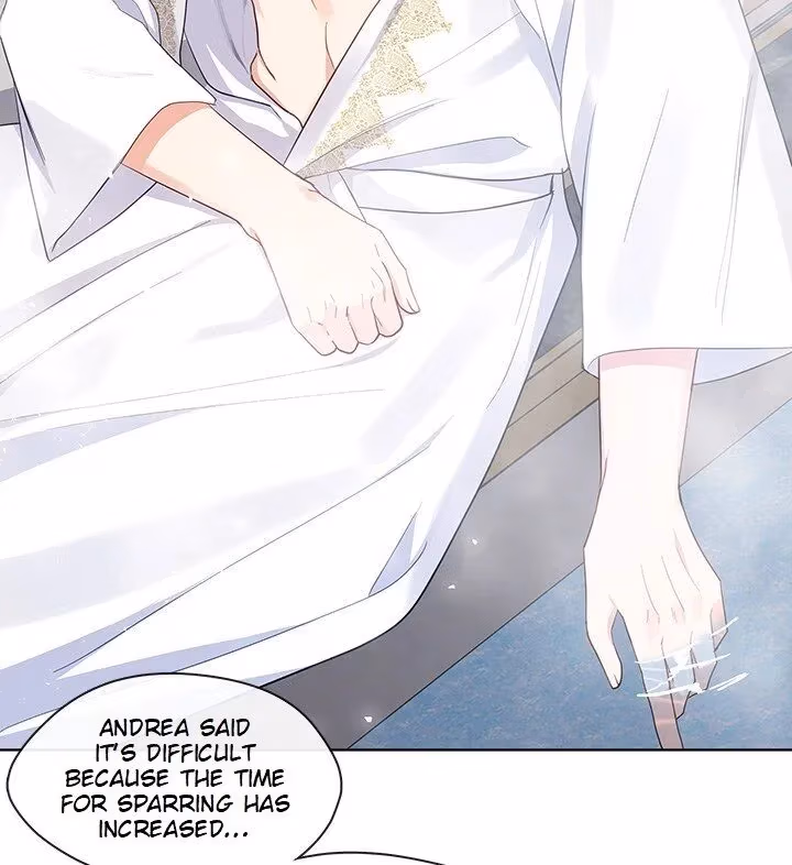 The Emperor's Partner Chapter 96 page 11 - 