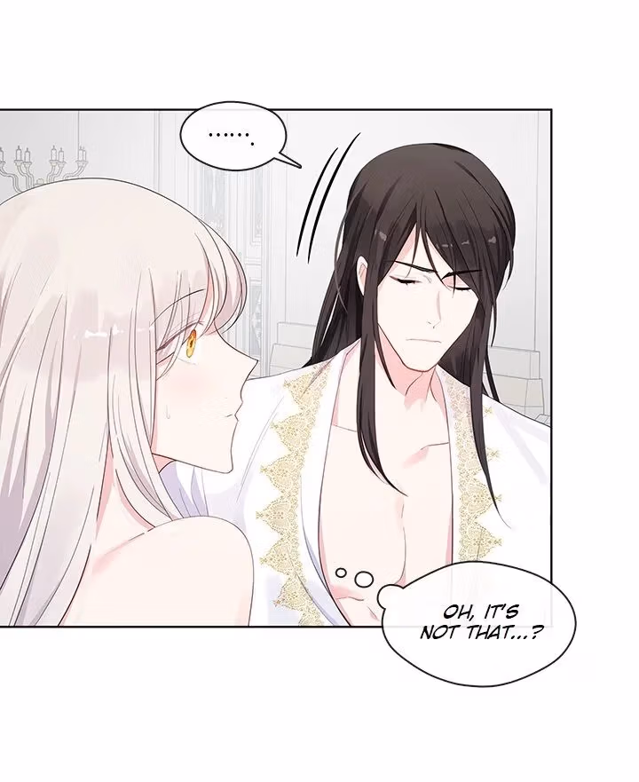 The Emperor's Partner Chapter 96 page 13 - 
