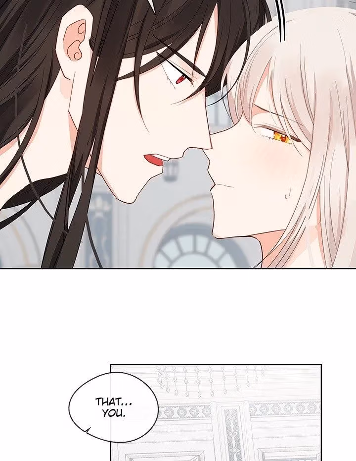 The Emperor's Partner Chapter 96 page 25 - 