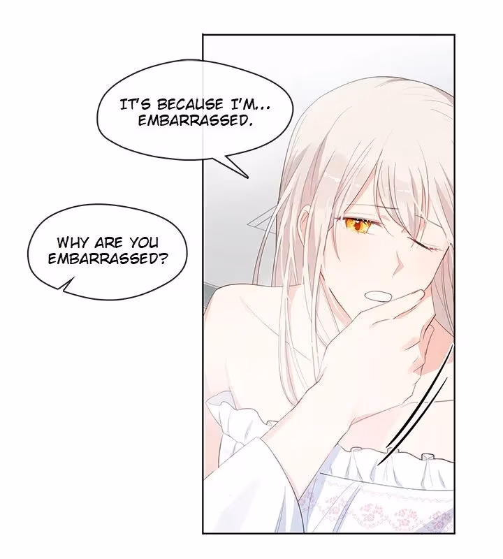 The Emperor's Partner Chapter 96 page 27 - 