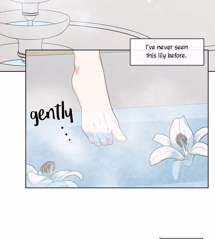 The Emperor's Partner Chapter 96 page 6 - 