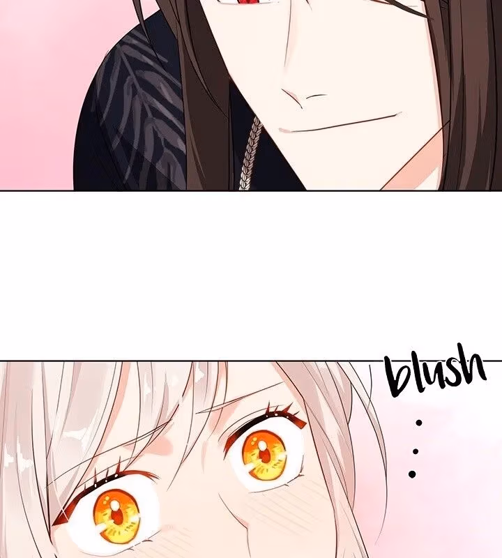 The Emperor's Partner Chapter 96 page 73 - 