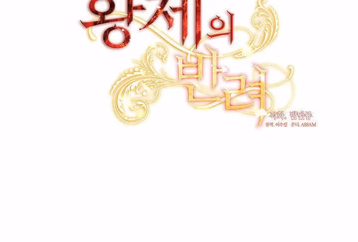The Emperor's Partner Chapter 97 page 12 - 