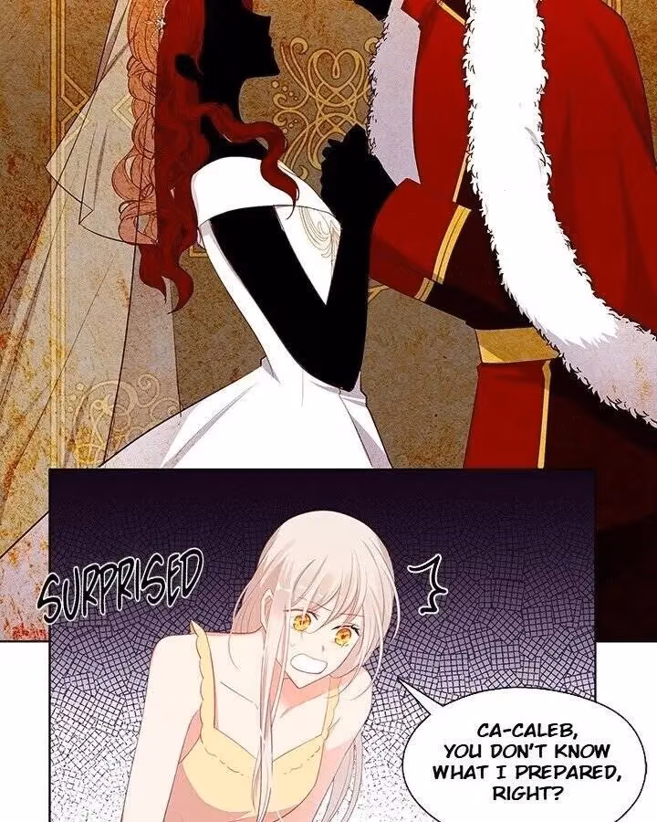 The Emperor's Partner Chapter 98 page 21 - 