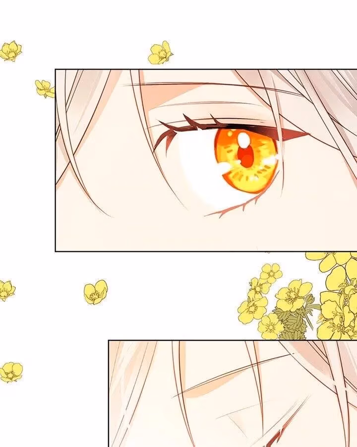 The Emperor's Partner Chapter 98 page 28 - 