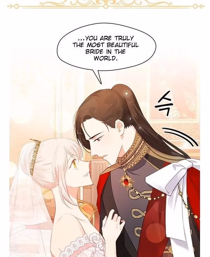 The Emperor's Partner Chapter 98 page 47 - 