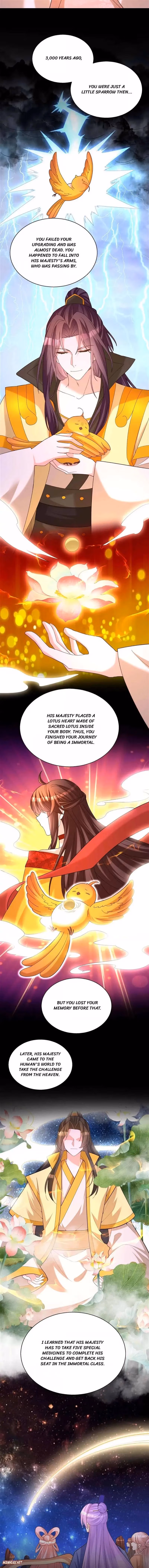The Emperor’s Celestial Consort Chapter 194 page 5 - 