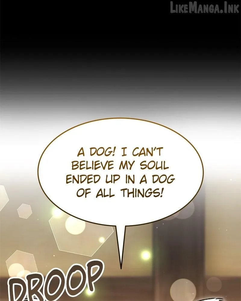 The Emperor’s Dog Chapter 75 page 28 - 