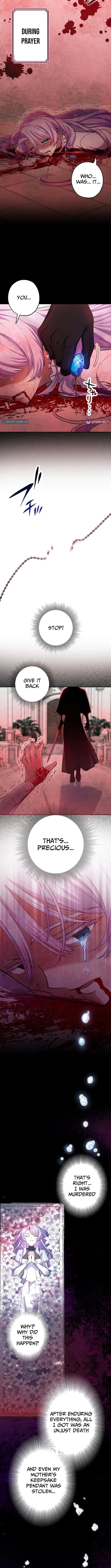 The Enemy King's Substitute Bride Chapter 1 page 11 - 
