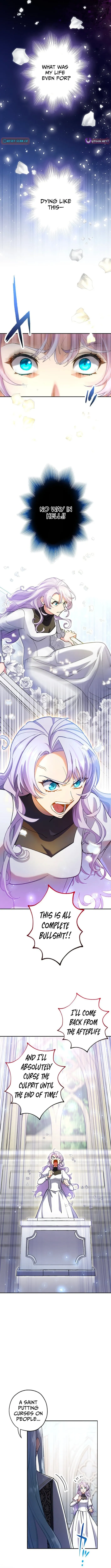 The Enemy King's Substitute Bride Chapter 1 page 12 - 