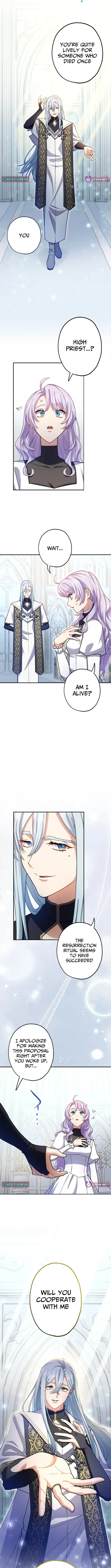 The Enemy King's Substitute Bride Chapter 1 page 13 - 