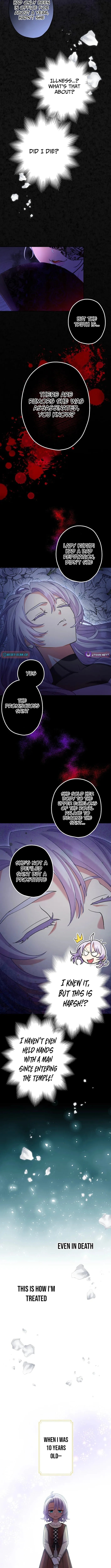 The Enemy King's Substitute Bride Chapter 1 page 7 - 