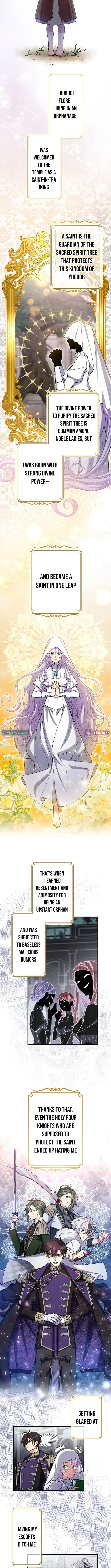 The Enemy King's Substitute Bride Chapter 1 page 8 - 