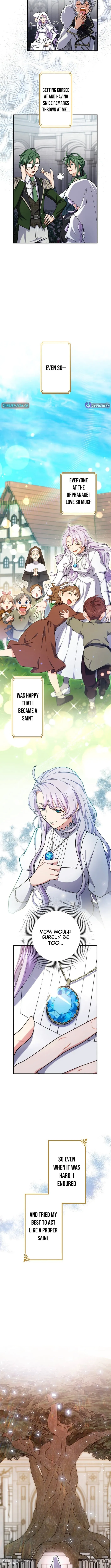 The Enemy King's Substitute Bride Chapter 1 page 9 - 