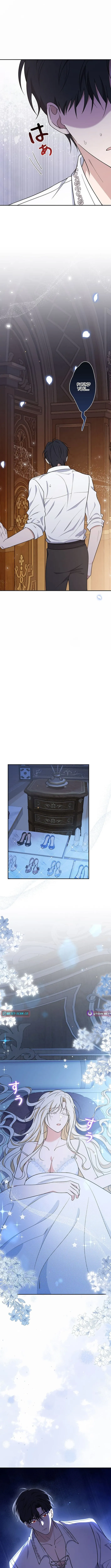The Enemy King's Substitute Bride Chapter 11 page 8 - 