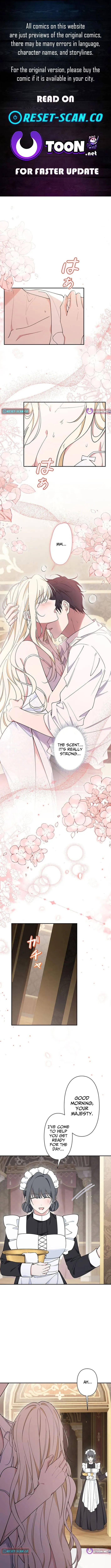The Enemy King's Substitute Bride Chapter 12 page 1 - 
