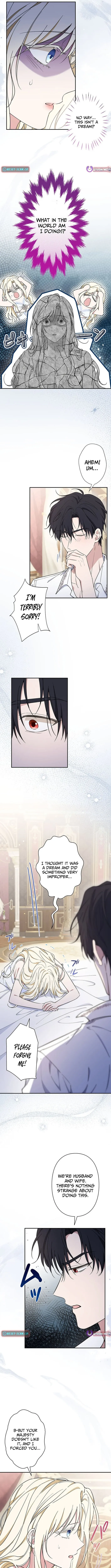 The Enemy King's Substitute Bride Chapter 12 page 3 - 