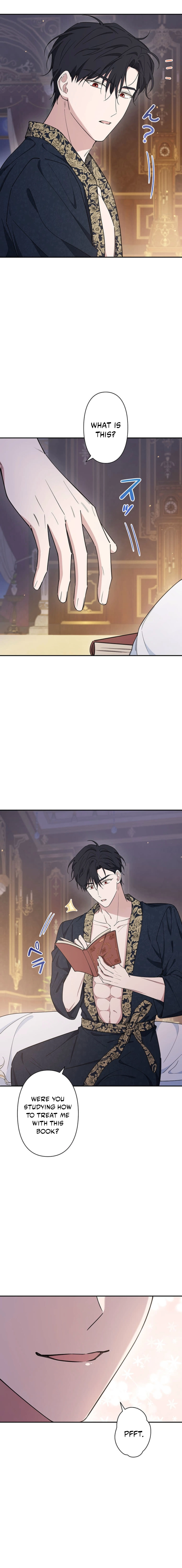 The Enemy King's Substitute Bride Chapter 14 page 17 - 
