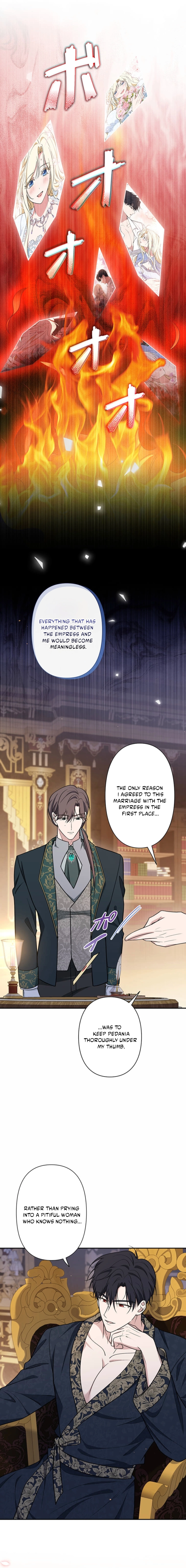 The Enemy King's Substitute Bride Chapter 15 page 26 - 