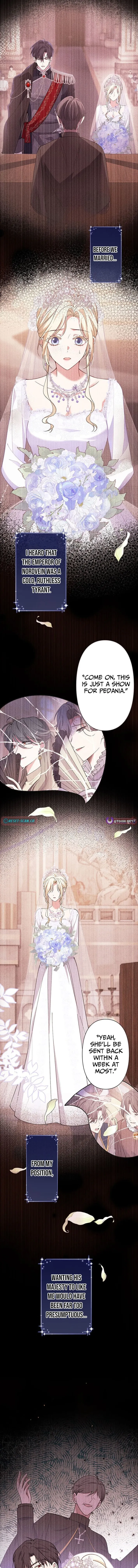 The Enemy King's Substitute Bride Chapter 17 page 10 - 