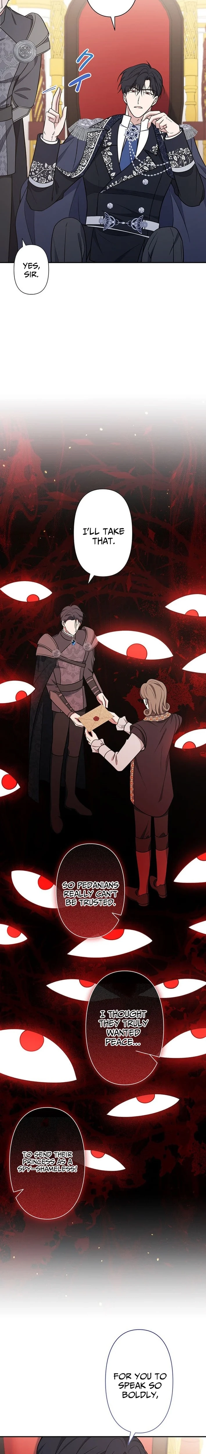The Enemy King's Substitute Bride Chapter 19 page 29 - 
