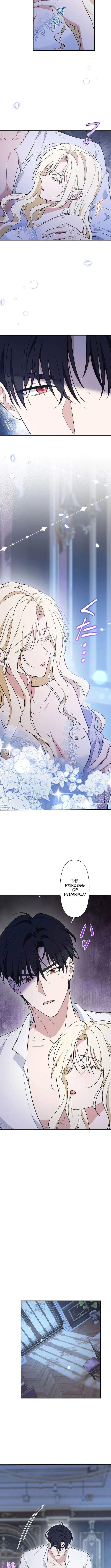 The Enemy King's Substitute Bride Chapter 2 page 2 - 