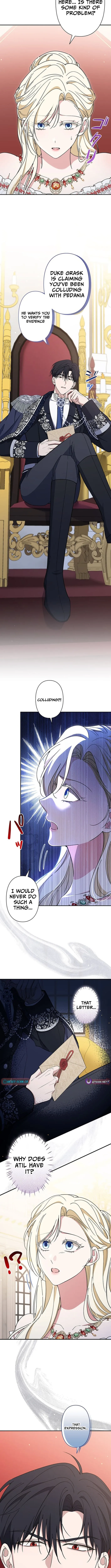 The Enemy King's Substitute Bride Chapter 20 page 2 - 