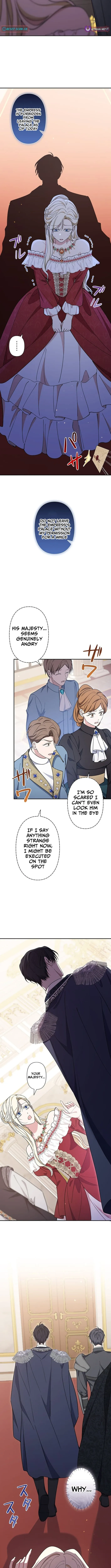 The Enemy King's Substitute Bride Chapter 20 page 5 - 
