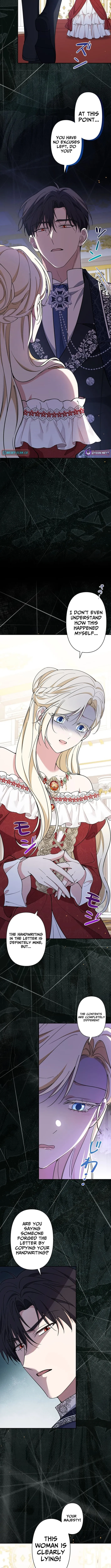 The Enemy King's Substitute Bride Chapter 20 page 10 - 