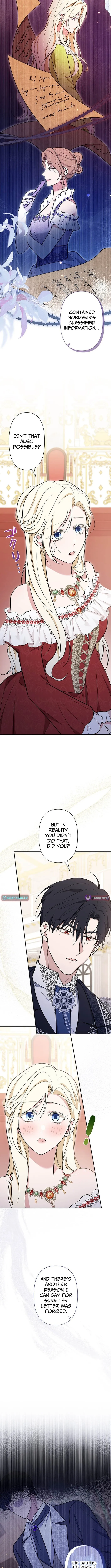 The Enemy King's Substitute Bride Chapter 21 page 4 - 