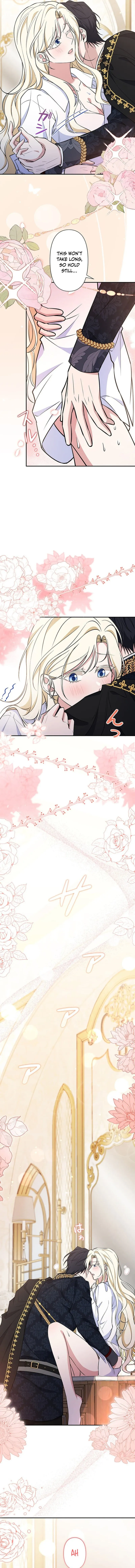 The Enemy King's Substitute Bride Chapter 22 page 17 - 
