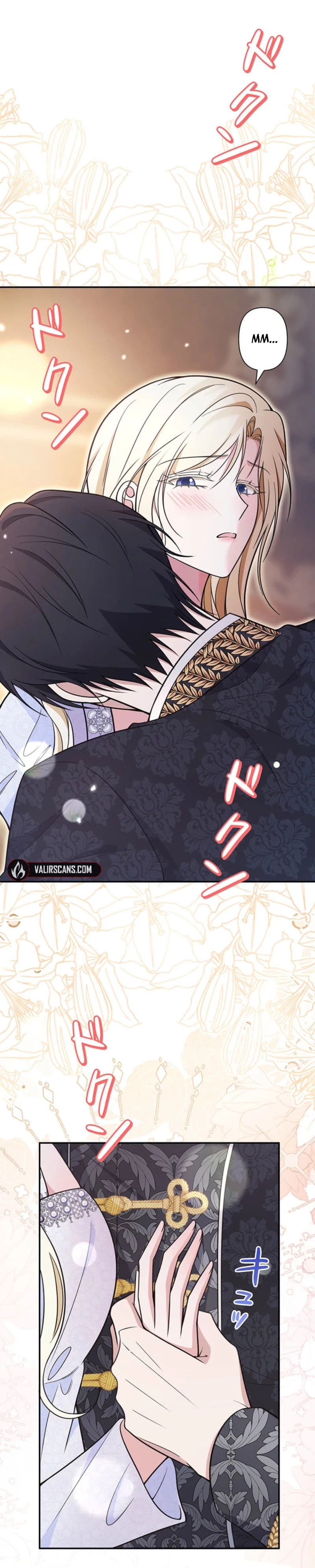 The Enemy King's Substitute Bride Chapter 25 page 3 - 